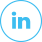 in-icon